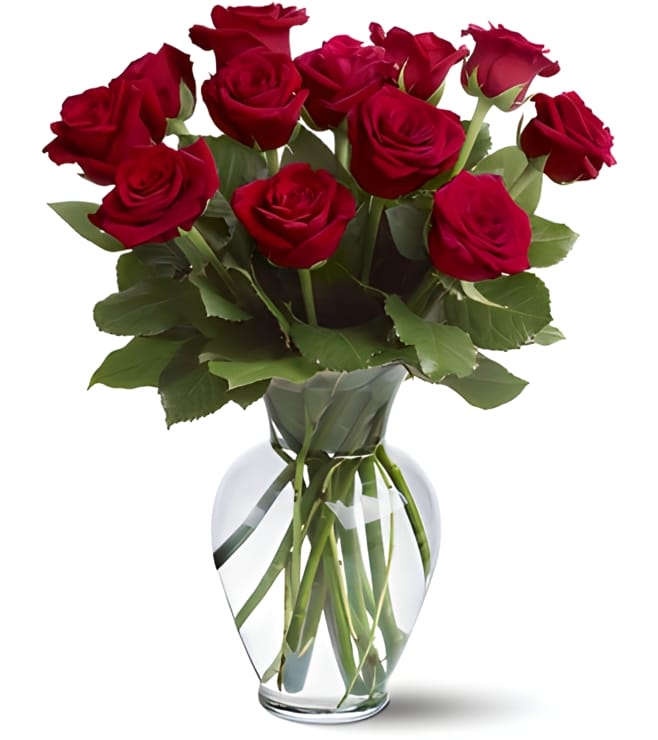 12 Red Roses