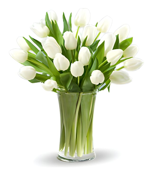 Classic White Tulips, FLOWERS