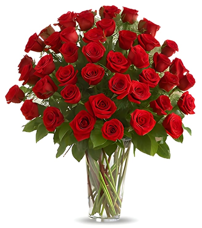 50 Red Roses, FLOWERS