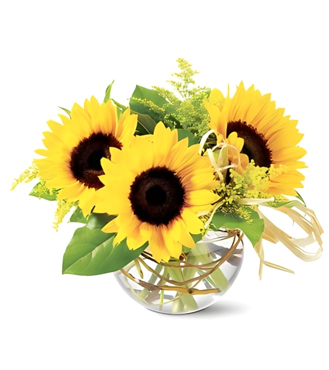 Sassy Sunflowers, FLOWERS