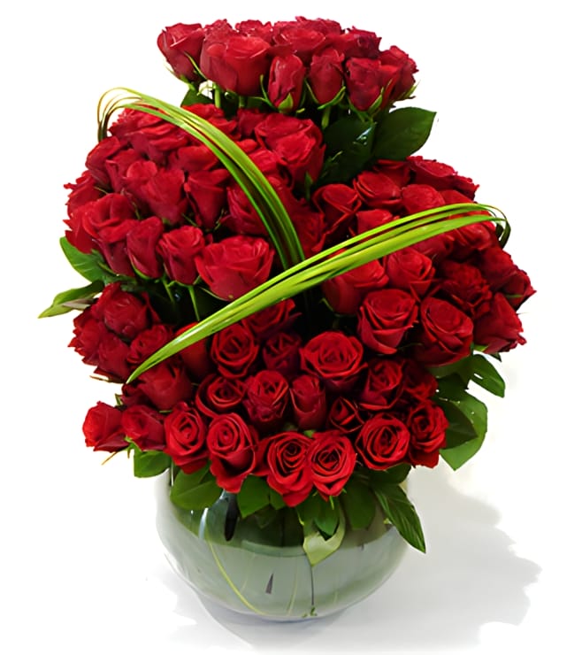 100 Red Roses